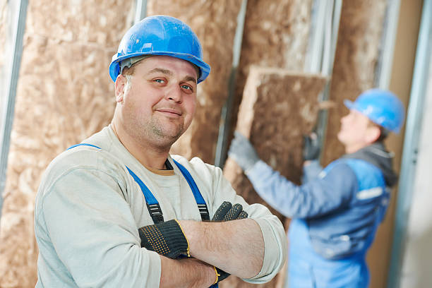 Best Wall Insulation Contractor  in Sandy, UT